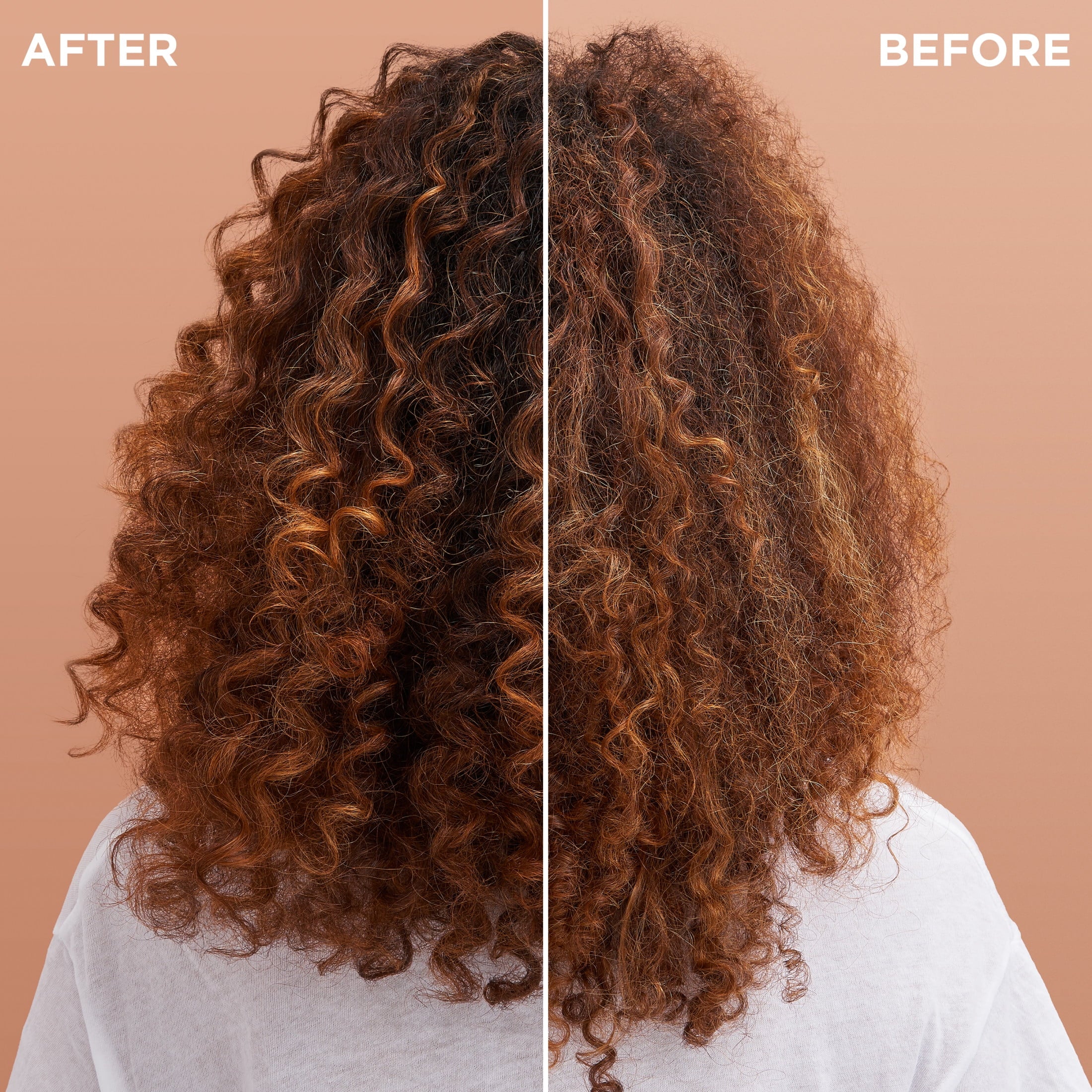 (2 pack) Garnier Whole Blends Leave in Frizz Control Conditioner, Coconut Oil Cocoa Butter, All Hair Types 5 fl oz