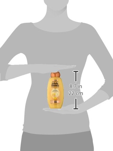 Garnier Whole Blends, Honey Treasures Repairing Shampoo, 12.5 fl oz Pack of 2