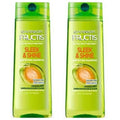 Garnier Fructis Sleek and Shine Shampoo for Frizzy Hair, 2 Pack, 12.5 Oz Each
