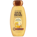 Garnier Whole Blends, Honey Treasures Repairing Shampoo, 12.5 fl oz Pack of 2