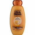 Garnier Whole Blends Repairing Shampoo, Honey Treasures, 12.5 fl oz (3 pack) (Bundle)