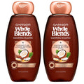 Garnier Whole Blends Smoothing Shampoo With Coconut Oil & Cocoa Butter Extracts, 12.5 Fl Oz (Packaging May Vary), 2 Count