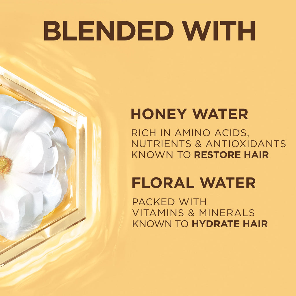 Garnier Whole Blends Honey Water Moisture Restoring Conditioner, Dry Hair, 28 fl oz