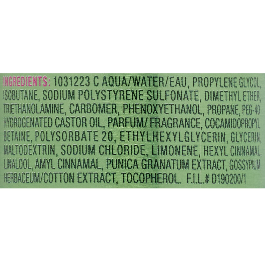 Garnier Fructis 24H Volumizing Hold Hair Styling Mousse, 6.4 fl oz